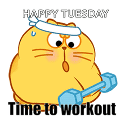 Cat Workout Time Cute Tuesday GIF