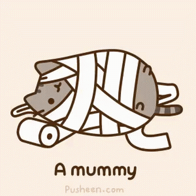 Cat Wrapped In Bandages Saying A Mummy GIF