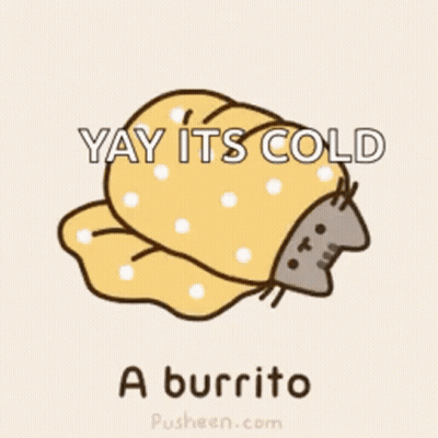 Cat Wrapped In Blanket Saying Yay Its Cold A Burrito GIF