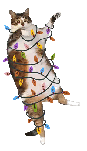 Cat Wrapped In Christmas Lights With Letters A And T Sticker