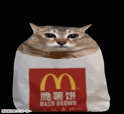 Cat Wrapped In McDonald's Bag GIF