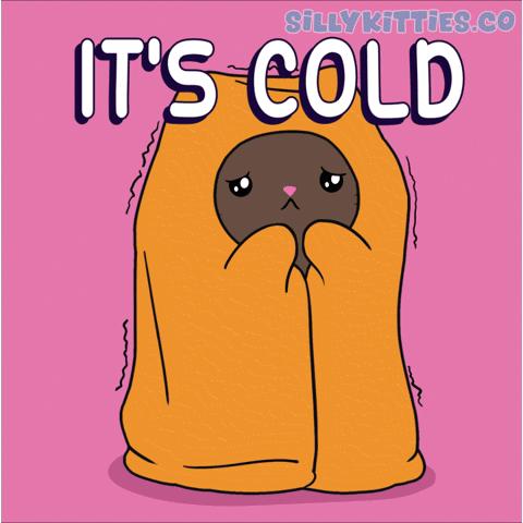 Cat Wrapped In Orange Blanket With It's Cold GIF