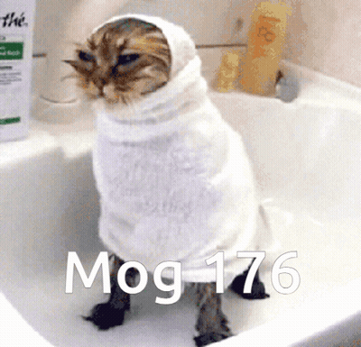 Cat Wrapped In Towel In Sink MOG 176 GIF