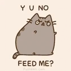 Cat Y U No Feed Me GIF