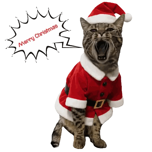 Cat Yawning Santa Suit Sticker