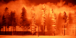 Cataclysmic Enormous Nuke Detonation GIF