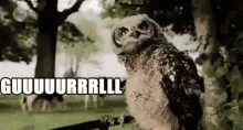 Catch Me Outside How Bout That Owl Gurl GIF