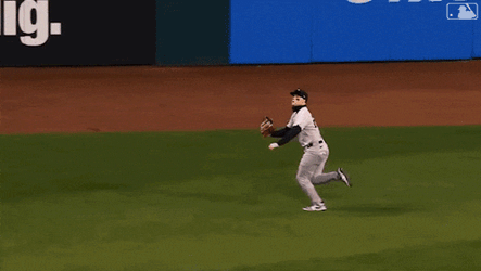 Catching The Ball Major League Baseball GIF