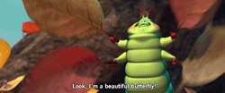 Caterpillar Look I'm A Beautiful Butterfly
