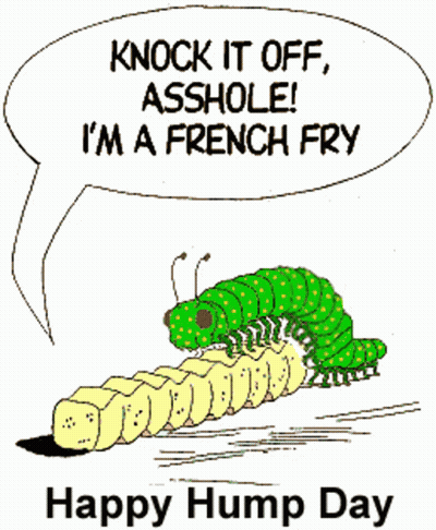 Caterpillar Saying Knock It Off Asshole I'm A French Fry Happy Hump Day GIF