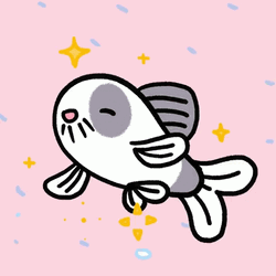 Catfish In Rainy Weather GIF