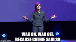 Cathie Wood Explaining Wax On Wax Off GIF