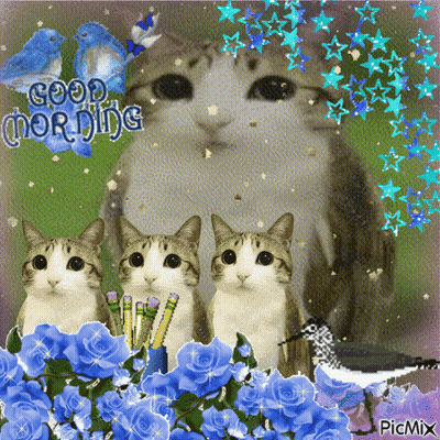 Cats and Flowers Collage Saying Good Morning