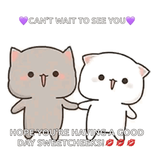 Cats Holding Hands Can't Wait To See You GIF