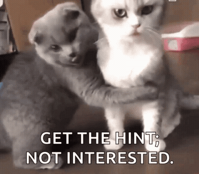 Cats Hugging Get The Hint Not Interested GIF
