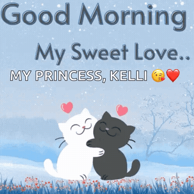 Cats Hugging Good Morning My Princess GIF