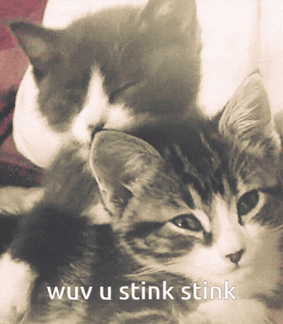 Cats Laying On Each Other Wuv U Stink Stink GIF