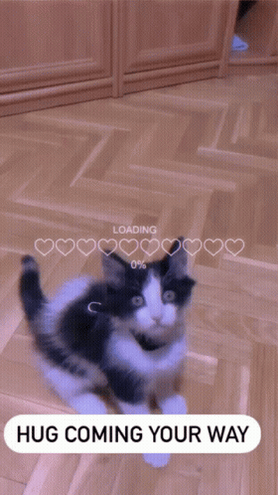 Cats Laying Sweet Hug For Special Fella GIF