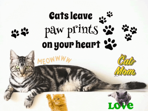 Cats Leave Paw Prints On Your Heart Written On A Poster GIF