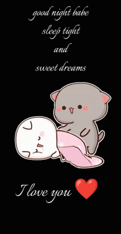 Cats Lying Next To Each Other Good Night GIF