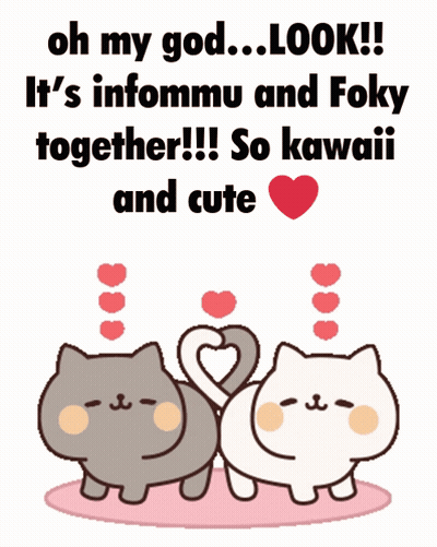 Cats Making Heart With Tails GIF