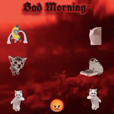 Cats Saying Bad Morning GIF