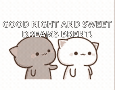 Cats Saying Good Night Brent GIF
