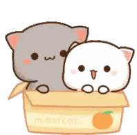 Cats Sitting In Box Sticker