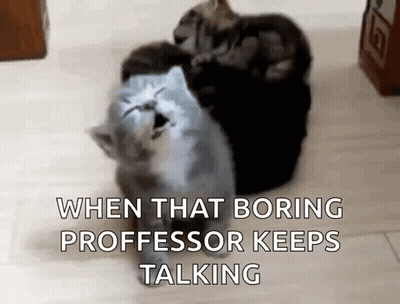 Cats Sitting On Each Other Bored GIF
