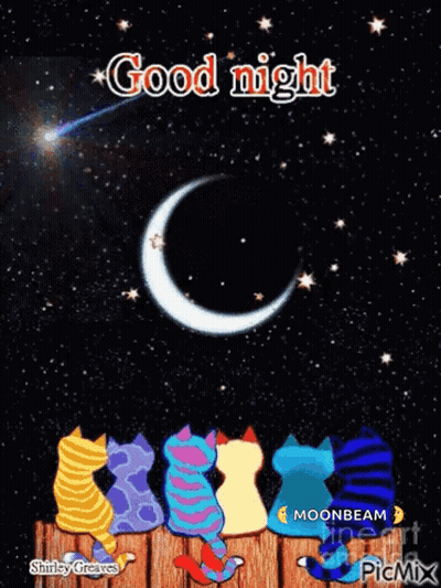 Cats Sitting On Fence Watching Shooting Star GIF