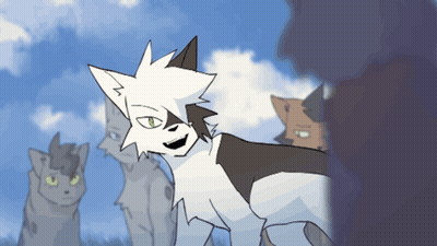 Cats Standing In Field With White And Black Cat GIF