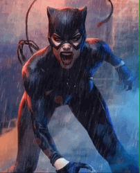 Catwoman Live Action GIF