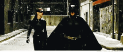 Catwoman With Batman GIF
