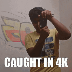 Caught In 4K Snapping Camera Flashes GIF