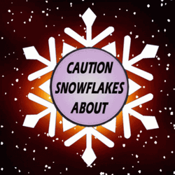 Caution Snowflake About GIF