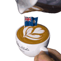 Cayman Islands George Town GIF