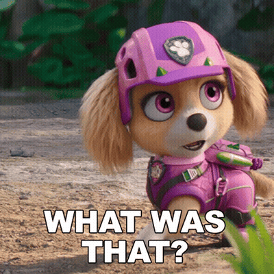 CBS Football Game Touchdown GIF