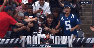 CBS NFL Broadcast WR 3 Tank Dell Surrounded By Fans GIF