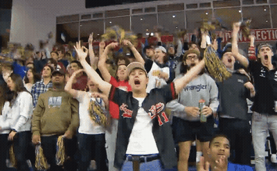 Cedar Pointe Real Estate Ad Behind Crowd Of Fans GIF