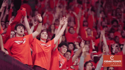 Cedar Pointe Real Estate Ad Behind Crowd Of Fans GIF