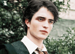 Cedric Diggory Clueless Face GIF