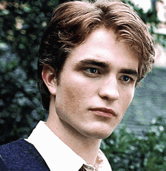 Cedric Diggory Death Stare GIF