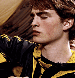 Cedric Diggory Getting Something GIF