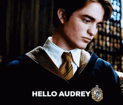 Cedric Diggory Hello Audrey GIF