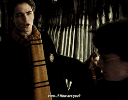 Cedric Diggory How Are You GIF
