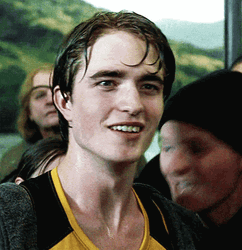 Cedric Diggory Laughing Out Loud GIF