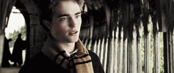 Cedric Diggory Sigh GIF