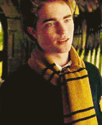 Cedric Diggory Smirk GIF