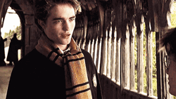 Cedric Diggory Talking With Harry Potter GIF