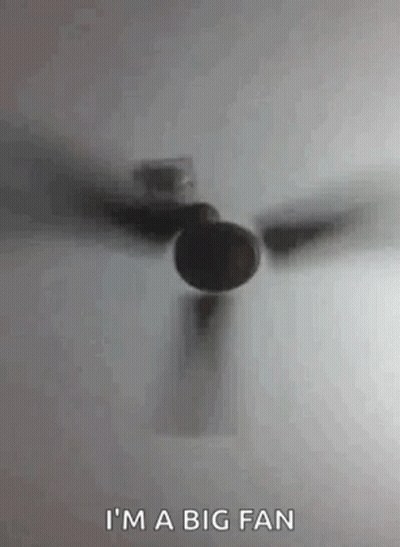 Ceiling Fan Saying I'm A Big Fan GIF
